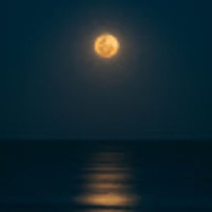 Meet your Posher, Fernando